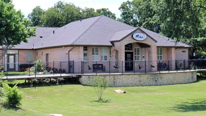 Main Street Veterinary Hospital Picture 7