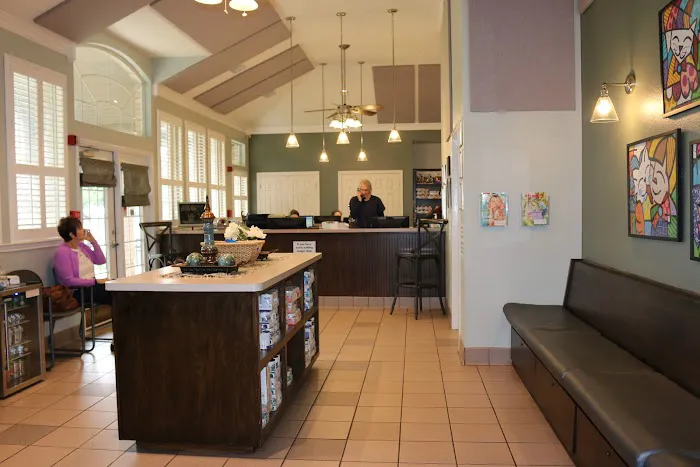 Main Street Veterinary Hospital Picture 6