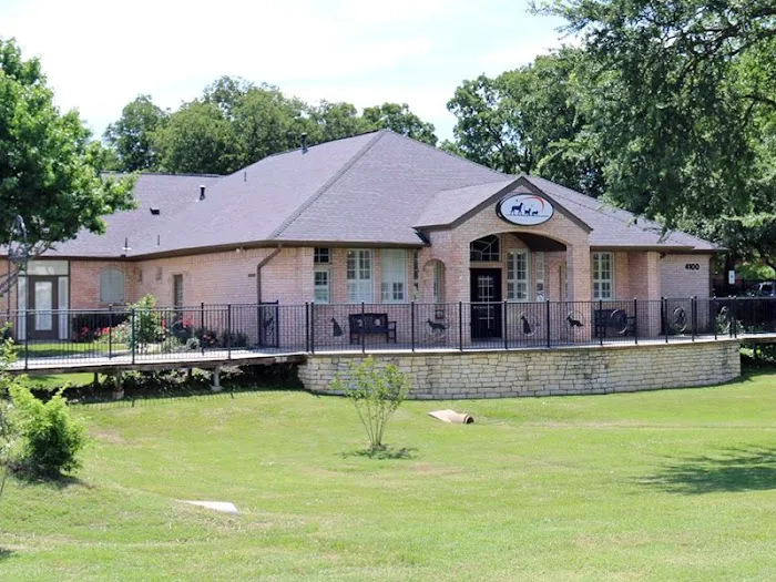 Main Street Veterinary Hospital Picture 5