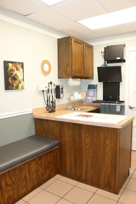 Main Street Veterinary Hospital Picture 9