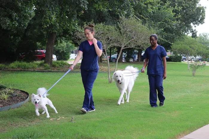 Main Street Veterinary Hospital Picture 1