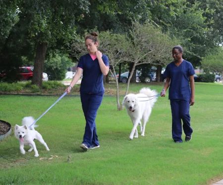 Main Street Veterinary Hospital
