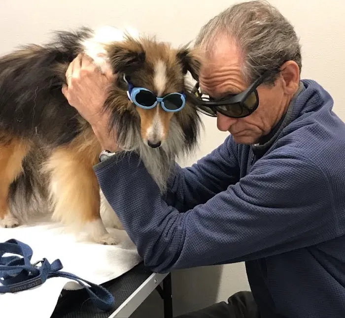 Integrative Veterinary Wellness at Garden Ridge Animal Hospital Picture 6