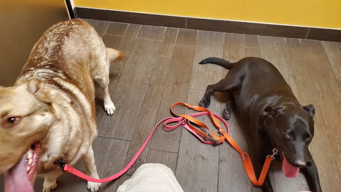 Banfield Pet Hospital Picture 3
