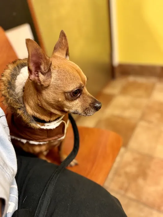 Banfield Pet Hospital Picture 9