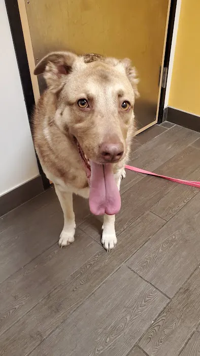 Banfield Pet Hospital Picture 4