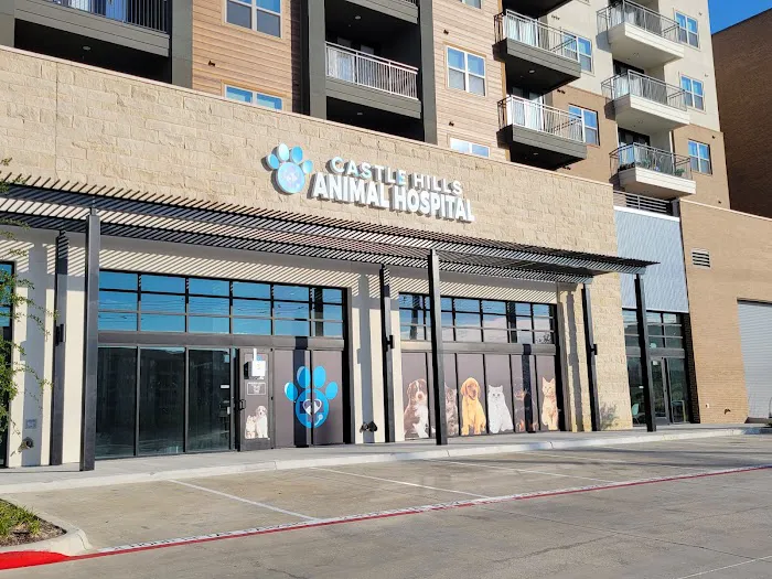 Castle Hills Animal Hospital Picture 2