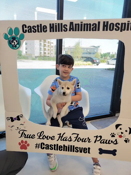 Castle Hills Animal Hospital Picture 10