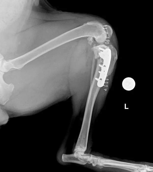 Trail Pet Hospital Picture 2