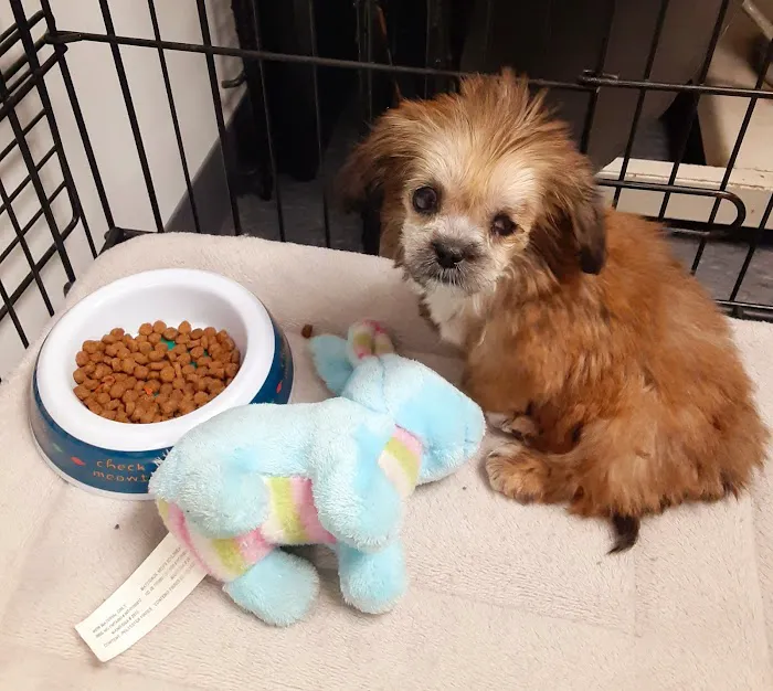 Trail Pet Hospital Picture 1