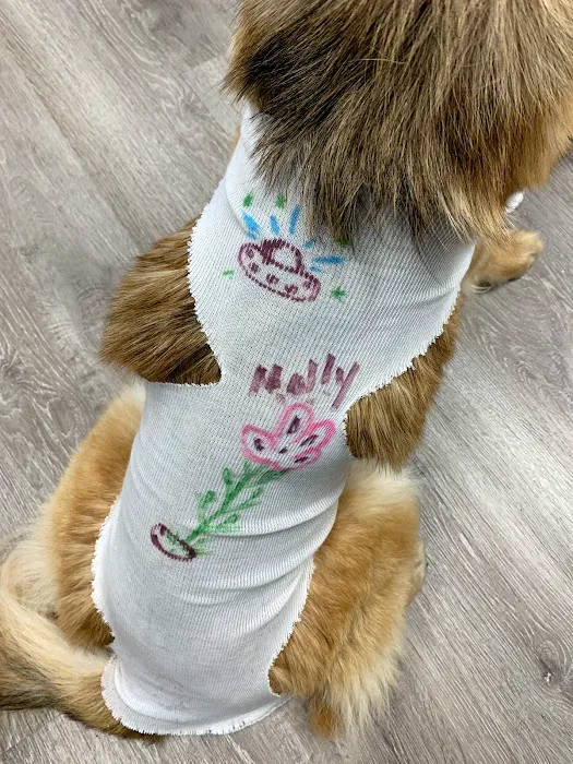 Trail Pet Hospital Picture 10