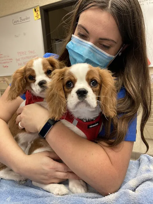 Campbell Village Veterinary Clinic Picture 2