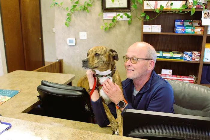 ABC Veterinary Clinic of Lewisville Picture 2