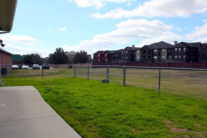 ABC Veterinary Clinic of Lewisville Picture 7