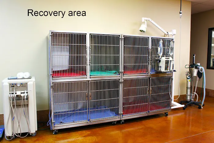 ABC Veterinary Clinic of Lewisville Picture 6