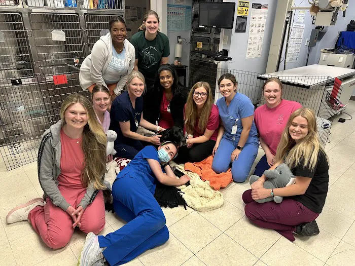 Cross Timbers Animal Medical Center Picture 10
