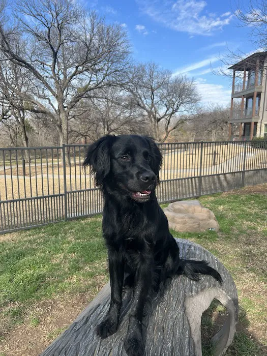 Cross Timbers Animal Medical Center Picture 8