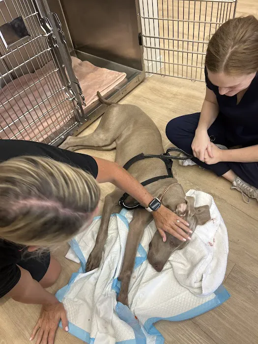 Petfolk Veterinary & Urgent Care - Flower Mound Picture 7
