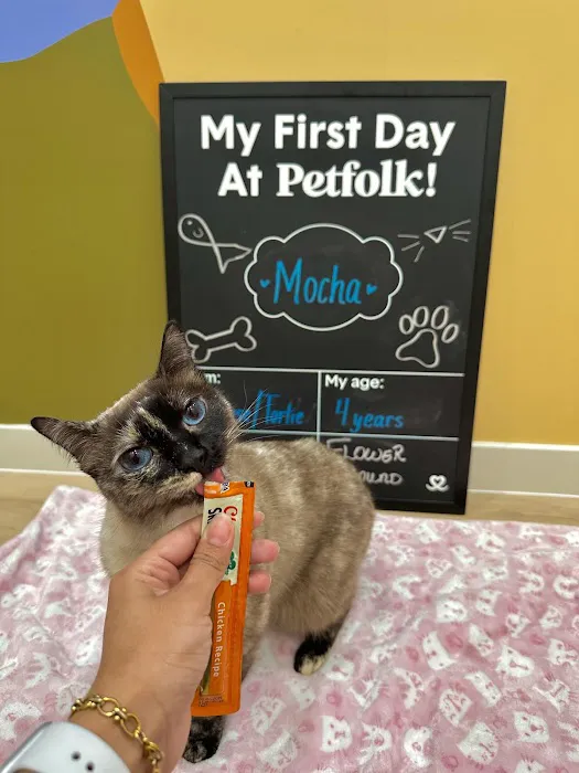 Petfolk Veterinary & Urgent Care - Flower Mound Picture 5