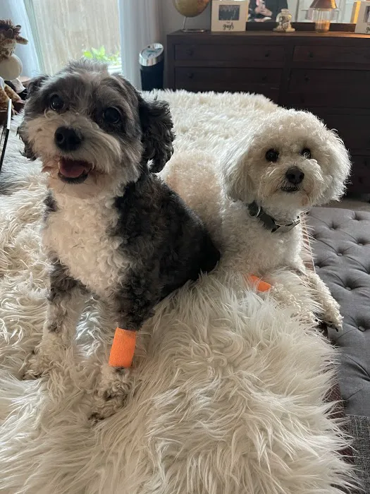 Banfield Pet Hospital Picture 1