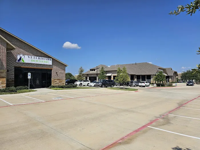 Veterinary Dentistry and Oral Surgery of North Texas Picture 2