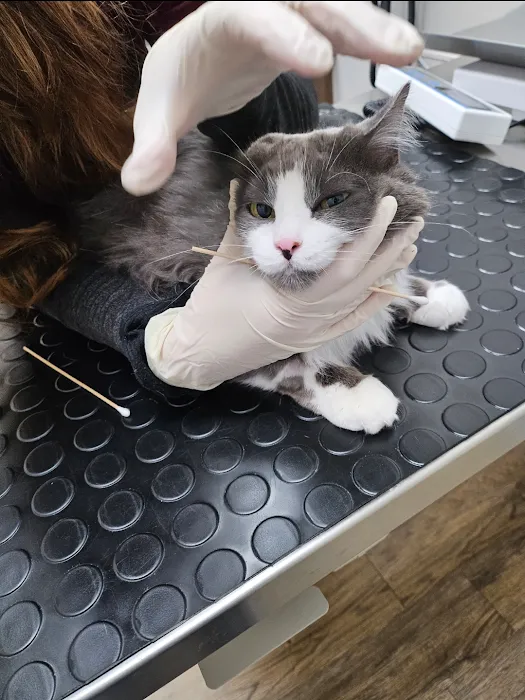 Flower Mound Veterinary Emergency & Specialty Center Picture 4