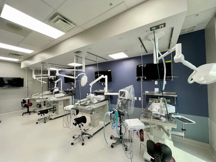 Flower Mound Veterinary Emergency & Specialty Center Picture 7