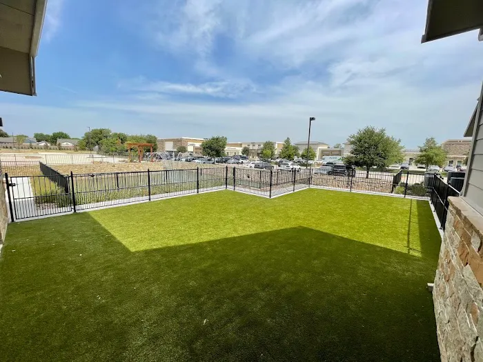 Flower Mound Veterinary Emergency & Specialty Center Picture 5