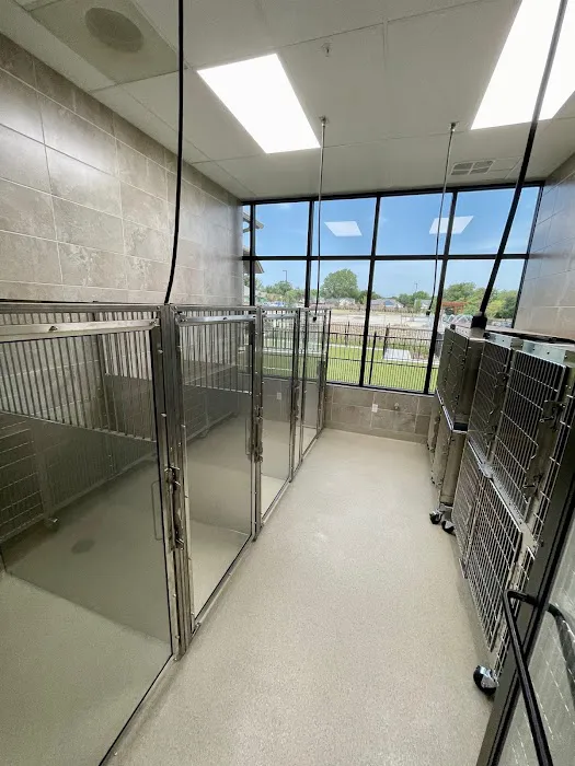 Flower Mound Veterinary Emergency & Specialty Center Picture 10