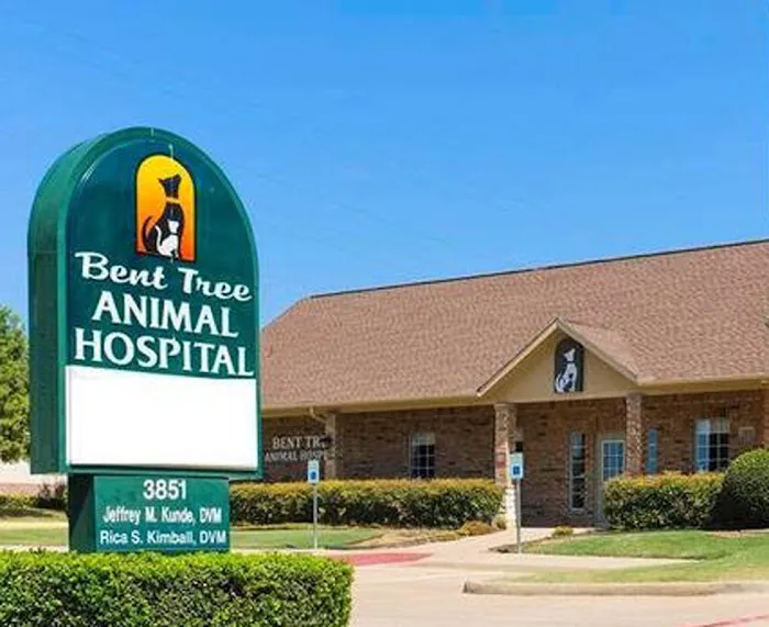 VCA Bent Tree Animal Hospital Picture 7