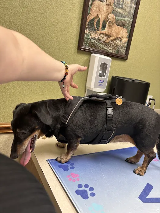 VCA Bent Tree Animal Hospital Picture 6
