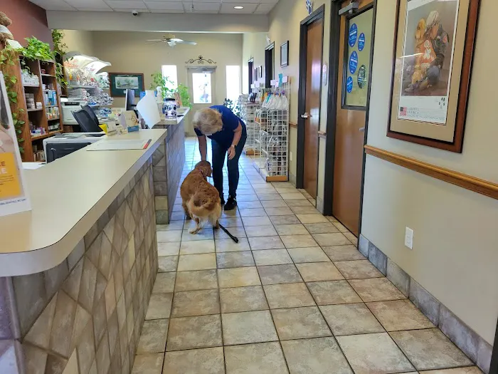 VCA Bent Tree Animal Hospital Picture 8