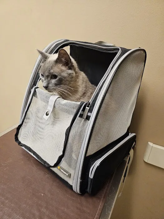 Veterinary Referral Center Picture 9