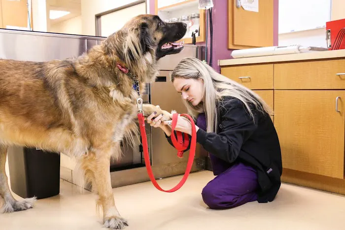 All Creatures Veterinary Center Picture 1