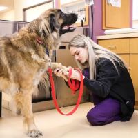 All Creatures Veterinary Center ico