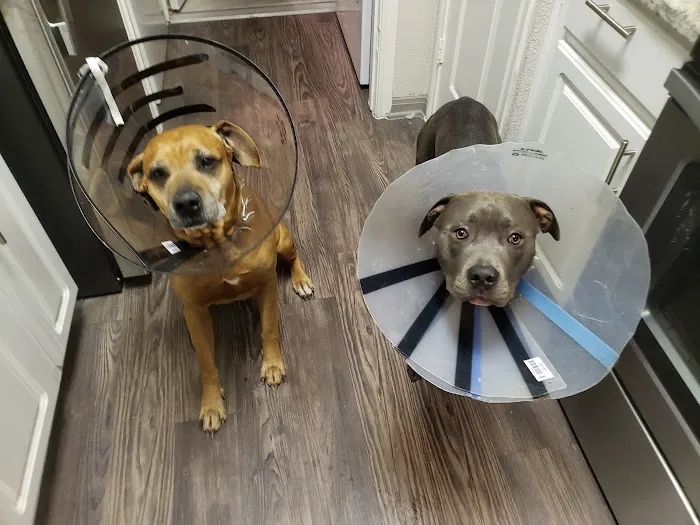 ABC Animal Clinic and Hospital Picture 6