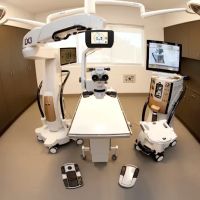 Texas Veterinary Ophthalmology ico