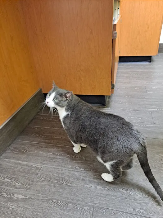 Banfield Pet Hospital Picture 8