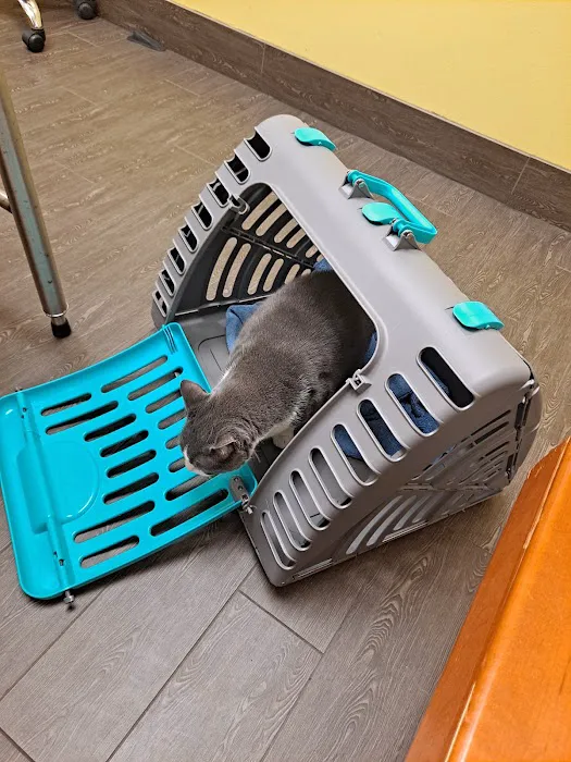 Banfield Pet Hospital Picture 7