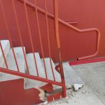 Paws Wellness Center