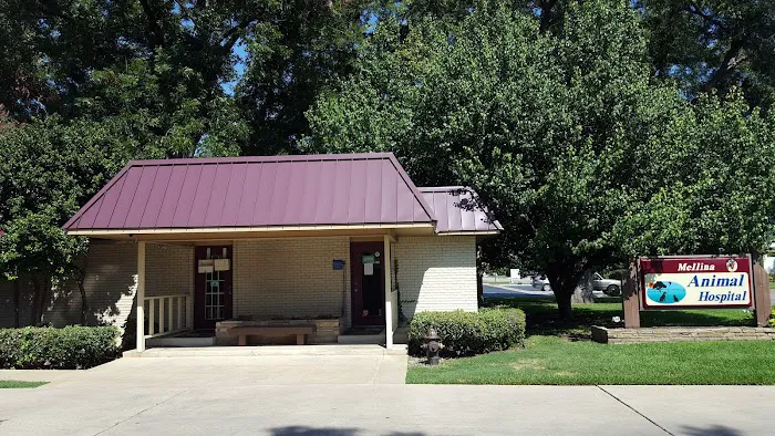 Mellina Animal Hospital Picture 9