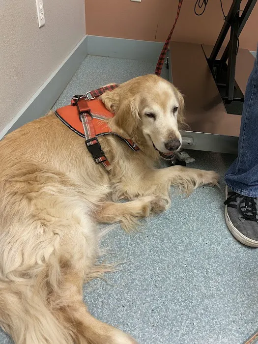 Central Animal Hospital Picture 8