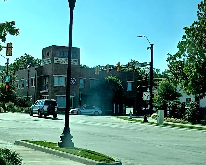 Arlington Heights Animal Hospital Picture 5