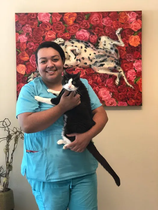 Arlington Heights Animal Hospital Picture 8