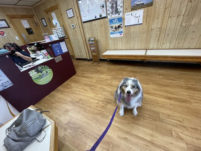 Southside Veterinary Clinic Picture 5