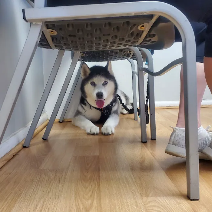 Southside Veterinary Clinic Picture 3