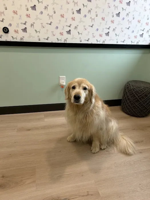 Canyon Falls Veterinary Hospital Picture 3