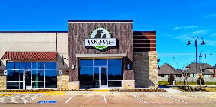 Northlake Pet Hospital Picture 5