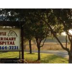Argyle Veterinary Hospital