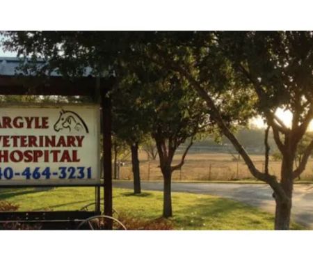 Argyle Veterinary Hospital